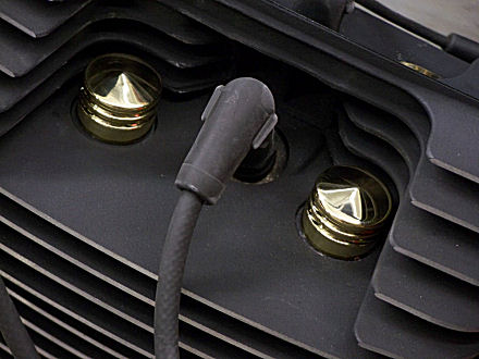 Brass head bolt covers really stand out against the black Harley engine.